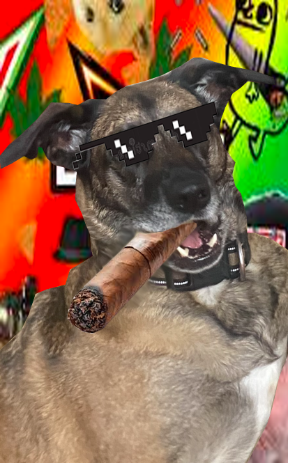Swag Dog